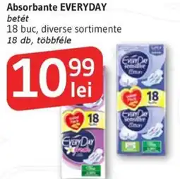 Supeco Absorbante EVERYDAY Ofertă