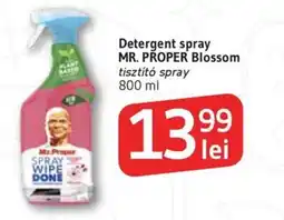 Supeco Detergent spray MR. PROPER Blossom Ofertă