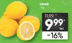 PROFI Lămâi Ofertă