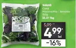 PROFI Salată Coral Mamma Mia / Armonia Ofertă