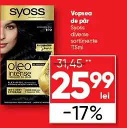 PROFI Vopsea de pår Syoss Ofertă