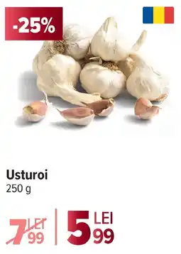 Carrefour Market Usturoi Ofertă
