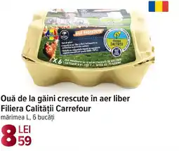 Carrefour Market Ouă de la găini crescute în aer liber Filiera Calității Carrefour Ofertă