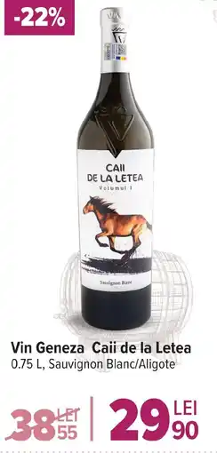 Carrefour Market Vin Geneza Caii de la Letea Ofertă
