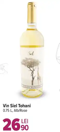 Carrefour Market Vin Siel Tohani Ofertă