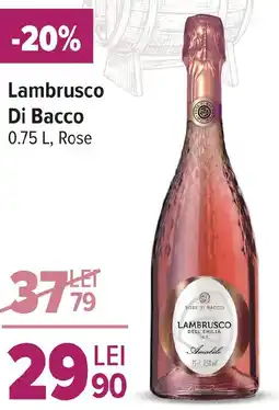 Carrefour Market Lambrusco Di Bacco Ofertă