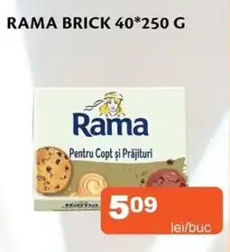 Unicarm Rama brick Ofertă