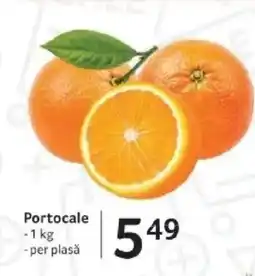 Selgros Portocale Ofertă