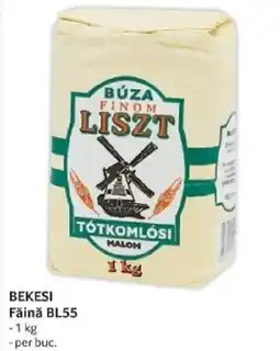 Selgros BEKESI Fǎinǎ BL55 Ofertă