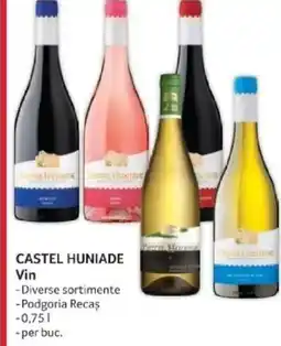 Selgros CASTEL HUNIADE Vin Ofertă