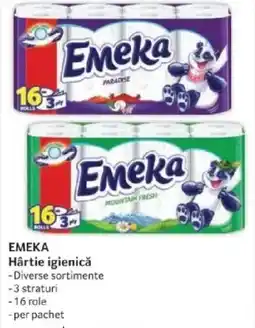 Selgros EMEKA Hârtie igienicǎ Ofertă