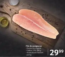 Selgros File de pangasius Ofertă