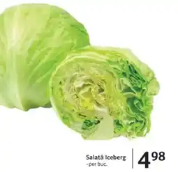 Selgros Salată Iceberg Ofertă