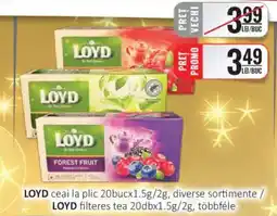 CBA LOYD ceai la plic Ofertă