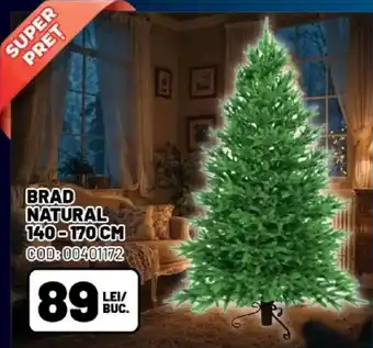 Ambient BRAD NATURAL 140-170cm Ofertă