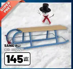 Ambient SANIE ALI Ofertă