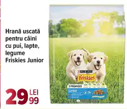 Carrefour Market Hrană uscată pentru câini cu pui, lapte, legume Friskies Junior Ofertă