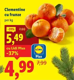 Lidl Clementine cu frunze Ofertă