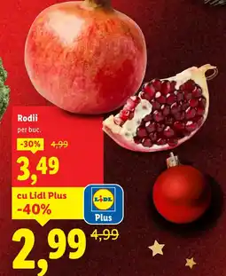 Lidl Rodii Ofertă