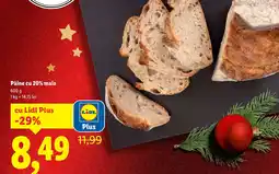 Lidl Pâine cu 20% maia Ofertă