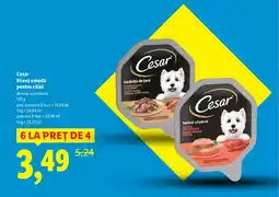 Lidl Cesar Hrană umedă pentru câini Ofertă
