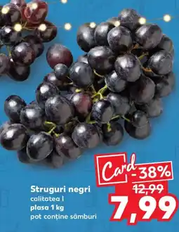 Kaufland Struguri negri Ofertă