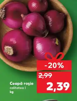 Kaufland Ceapă roşie Ofertă