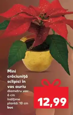 Kaufland Mini crăciuniţă sclipici în vas auriu Ofertă