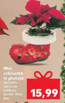 Kaufland Mini crăciuniţă în ghetuţă Ofertă