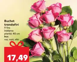Kaufland Buchet trandafiri Ofertă