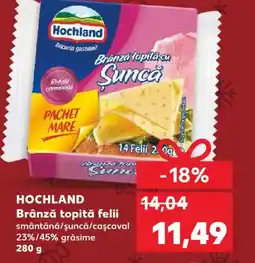 Kaufland HOCHLAND Brânză topită felii Ofertă