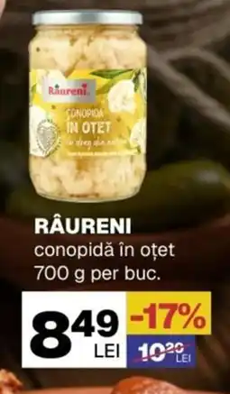 Annabella RÂURENI conopidă în oțet Ofertă