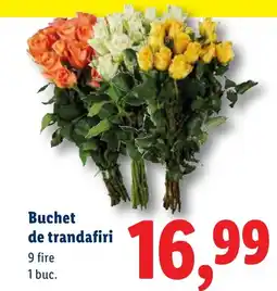Lidl Buchet de trandafiri Ofertă