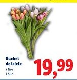 Lidl Buchet de lalele Ofertă