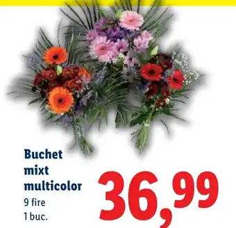 Lidl Buchet mixt multicolor Ofertă