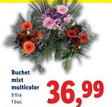 Lidl Buchet mixt multicolor Ofertă