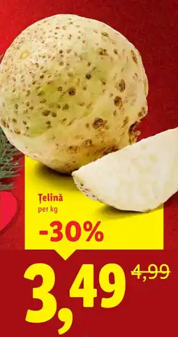 Lidl Telinǎ Ofertă