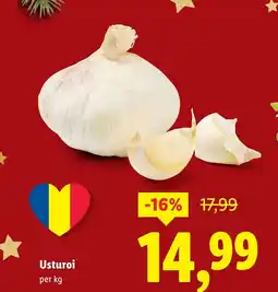 Lidl Usturoi Ofertă