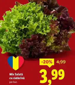 Lidl Mix Salată cu rădăcină Ofertă