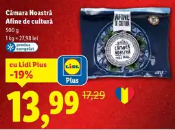 Lidl Cămara Noastră Afine de cultură Ofertă