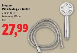 Lidl Livarno Pară de duş, cu furtun Ofertă