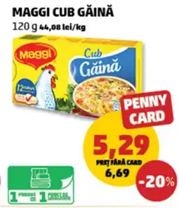 Penny Maggi cub găină Ofertă