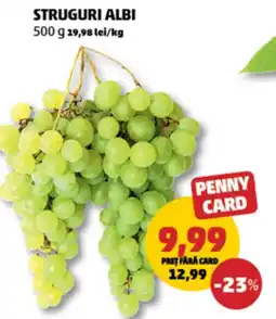 Penny Struguri albi Ofertă