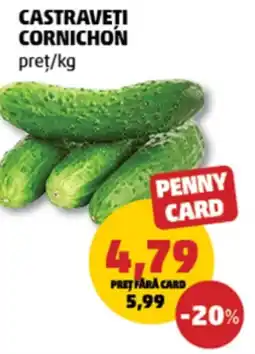 Penny Castraveti cornichon Ofertă