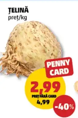 Penny Ţelină Ofertă