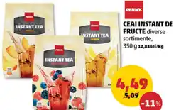 Penny Ceai instant de fructe Ofertă