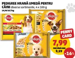 Penny Pedigree hrană umedă pentru câini Ofertă