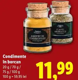Lidl Condimente în borcan Ofertă