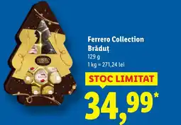 Lidl Ferrero Collection Brăduț Ofertă