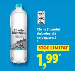 Lidl Cheile Bicazului Apă minerală carbogazoasă Ofertă